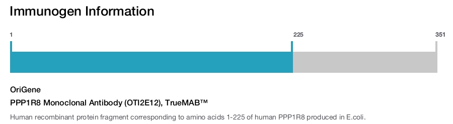 PPP1R8 Monoclonal Antibody (OTI2E12), TrueMAB&trade;
