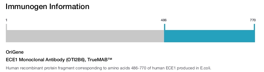 ECE1 Monoclonal Antibody (OTI2B6), TrueMAB&trade;