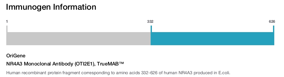 NR4A3 Monoclonal Antibody (OTI2E1), TrueMAB&trade;