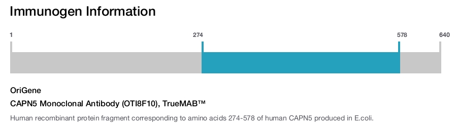 CAPN5 Monoclonal Antibody (OTI8F10), TrueMAB&trade;