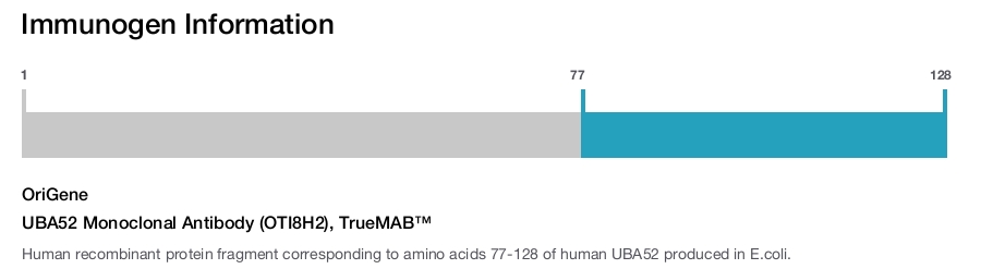 UBA52 Monoclonal Antibody (OTI8H2), TrueMAB&trade;