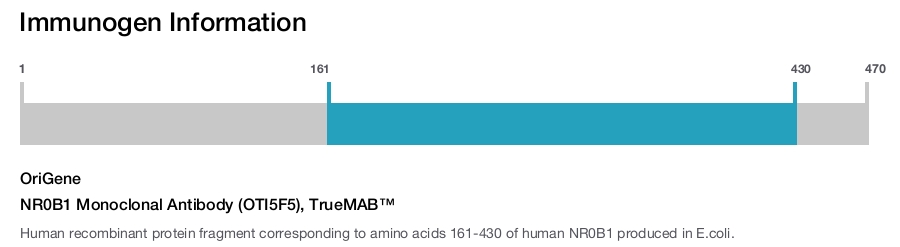 NR0B1 Monoclonal Antibody (OTI5F5), TrueMAB&trade;
