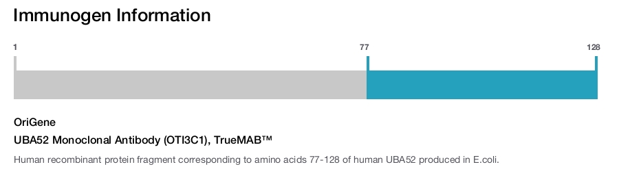 UBA52 Monoclonal Antibody (OTI3C1), TrueMAB&trade;