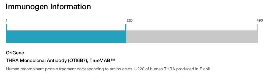 THRA Monoclonal Antibody (OTI6B7), TrueMAB&trade;