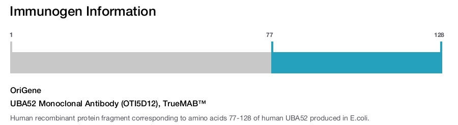 UBA52 Monoclonal Antibody (OTI5D12), TrueMAB&trade;