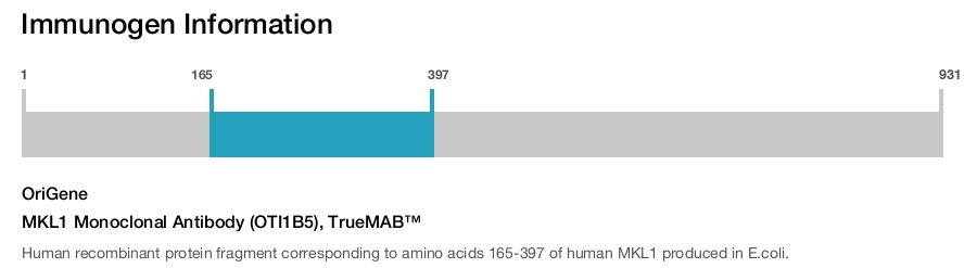 MKL1 Monoclonal Antibody (OTI1B5), TrueMAB&trade;