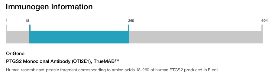 PTGS2 Monoclonal Antibody (OTI2E1), TrueMAB&trade;