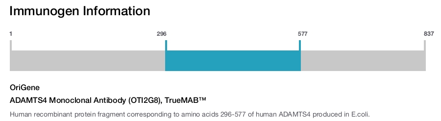 ADAMTS4 Monoclonal Antibody (OTI2G8), TrueMAB&trade;