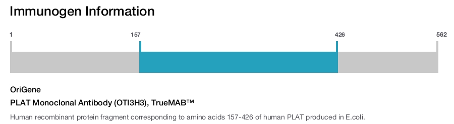 PLAT Monoclonal Antibody (OTI3H3), TrueMAB&trade;
