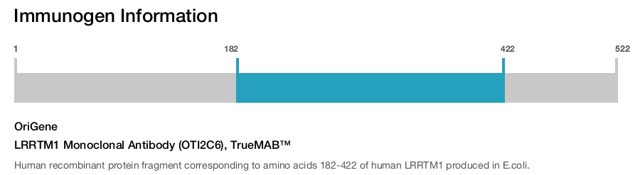 LRRTM1 Monoclonal Antibody (OTI2C6), TrueMAB&trade;