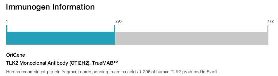 TLK2 Monoclonal Antibody (OTI2H2), TrueMAB&trade;