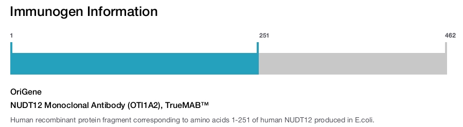 NUDT12 Monoclonal Antibody (OTI1A2), TrueMAB&trade;