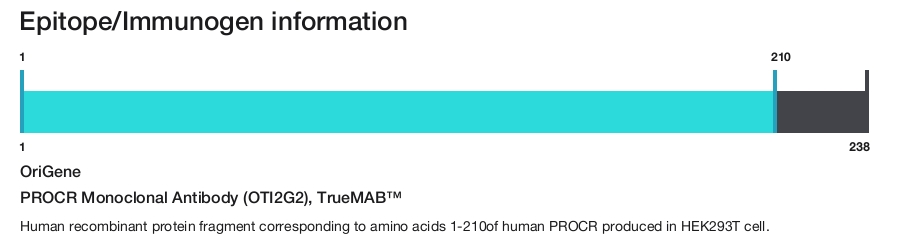 PROCR Monoclonal Antibody (OTI2G2), TrueMAB&trade;