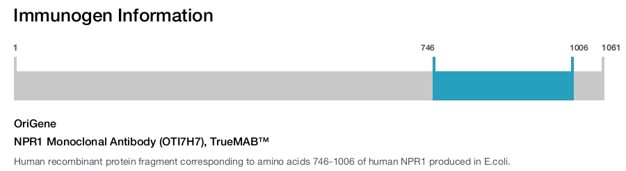 NPR1 Monoclonal Antibody (OTI7H7), TrueMAB&trade;