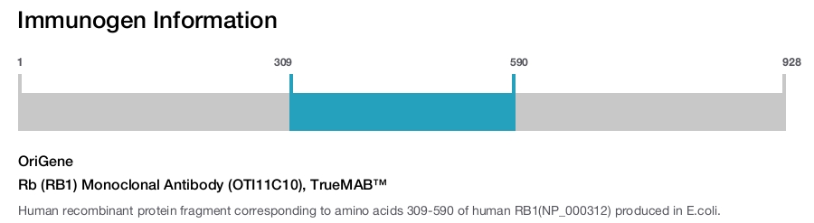 Rb (RB1) Monoclonal Antibody (OTI11C10), TrueMAB&trade;