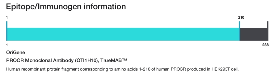 PROCR Monoclonal Antibody (OTI1H10), TrueMAB&trade;