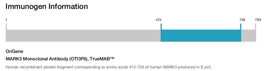 MARK3 Monoclonal Antibody (OTI3F6), TrueMAB&trade;