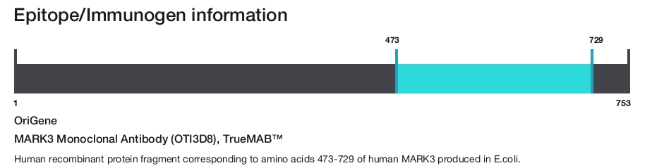 MARK3 Monoclonal Antibody (OTI3D8), TrueMAB&trade;