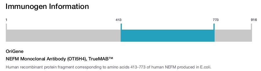 NEFM Monoclonal Antibody (OTI5H4), TrueMAB&trade;