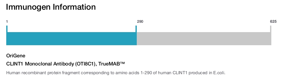 CLINT1 Monoclonal Antibody (OTI8C1), TrueMAB&trade;