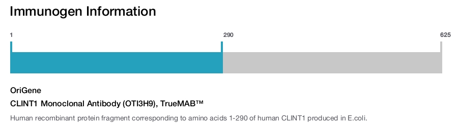 CLINT1 Monoclonal Antibody (OTI3H9), TrueMAB&trade;