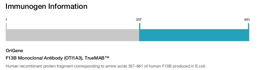 F13B Monoclonal Antibody (OTI1A3), TrueMAB&trade;