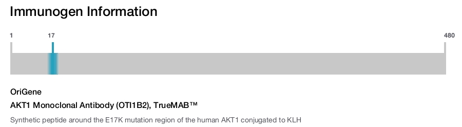 AKT1 Monoclonal Antibody (OTI1B2), TrueMAB&trade;
