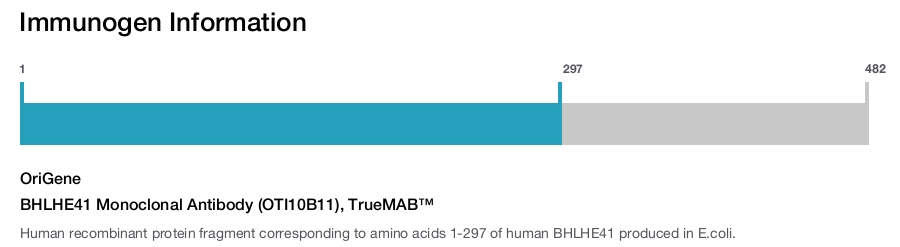 BHLHE41 Monoclonal Antibody (OTI10B11), TrueMAB&trade;