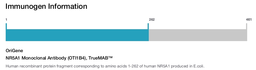 NR5A1 Monoclonal Antibody (OTI1B4), TrueMAB&trade;