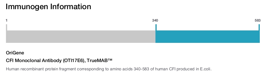 CFI Monoclonal Antibody (OTI17E6), TrueMAB&trade;