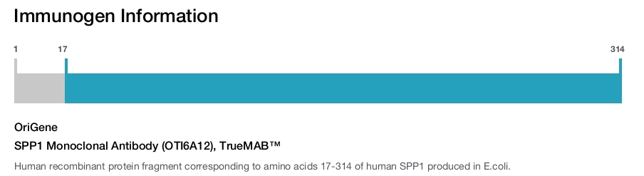 SPP1 Monoclonal Antibody (OTI6A12), TrueMAB&trade;