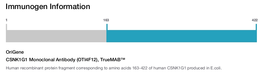 CSNK1G1 Monoclonal Antibody (OTI4F12), TrueMAB&trade;