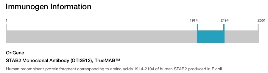 STAB2 Monoclonal Antibody (OTI2E12), TrueMAB&trade;
