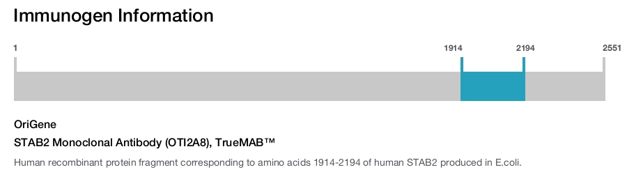 STAB2 Monoclonal Antibody (OTI2A8), TrueMAB&trade;