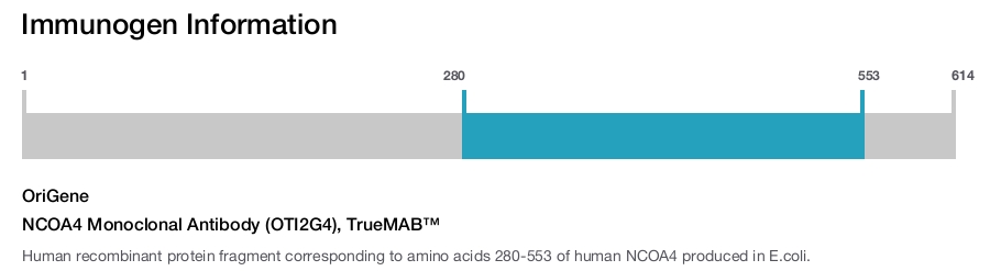 NCOA4 Monoclonal Antibody (OTI2G4), TrueMAB&trade;