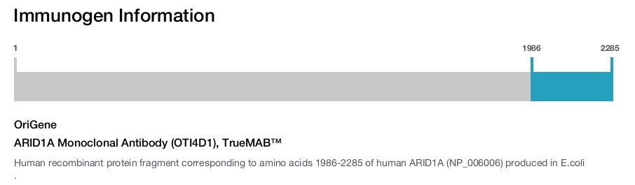 ARID1A Monoclonal Antibody (OTI4D1), TrueMAB&trade;