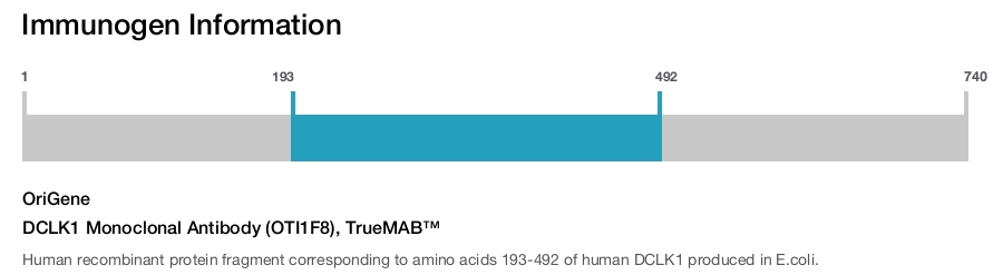 DCLK1 Monoclonal Antibody (OTI1F8), TrueMAB&trade;