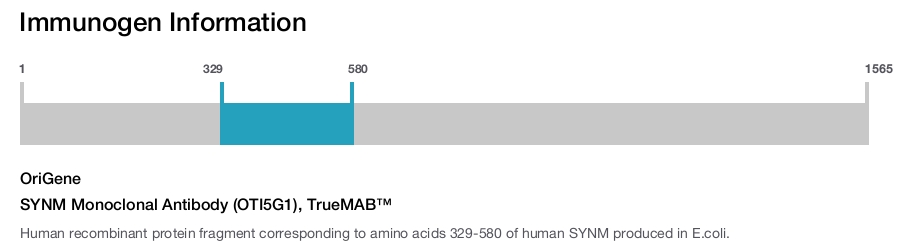 SYNM Monoclonal Antibody (OTI5G1), TrueMAB&trade;