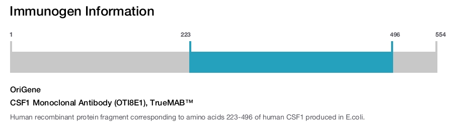 CSF1 Monoclonal Antibody (OTI8E1), TrueMAB&trade;