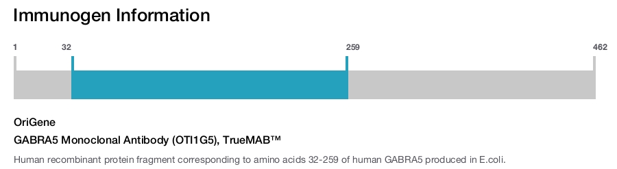 GABRA5 Monoclonal Antibody (OTI1G5), TrueMAB&trade;