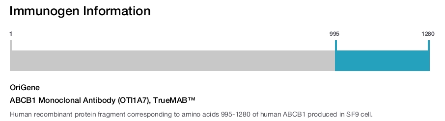 ABCB1 Monoclonal Antibody (OTI1A7), TrueMAB&trade;