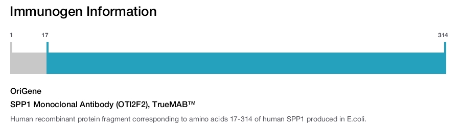 SPP1 Monoclonal Antibody (OTI2F2), TrueMAB&trade;