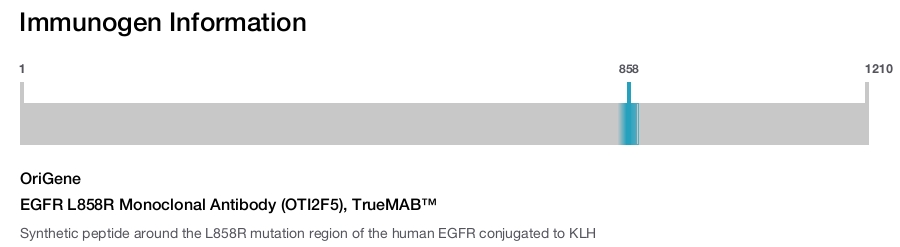 EGFR L858R Monoclonal Antibody (OTI2F5), TrueMAB&trade;