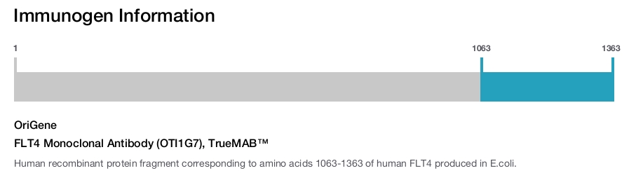 FLT4 Monoclonal Antibody (OTI1G7), TrueMAB&trade;