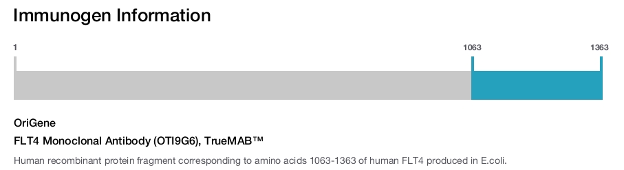 FLT4 Monoclonal Antibody (OTI9G6), TrueMAB&trade;