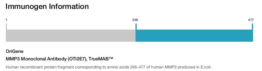 MMP3 Monoclonal Antibody (OTI2E7), TrueMAB&trade;