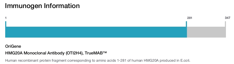 HMG20A Monoclonal Antibody (OTI2H4), TrueMAB&trade;