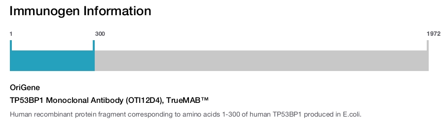 TP53BP1 Monoclonal Antibody (OTI12D4), TrueMAB&trade;