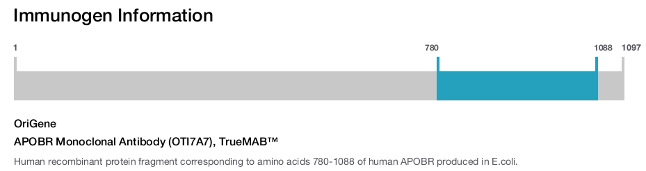 APOBR Monoclonal Antibody (OTI7A7), TrueMAB&trade;