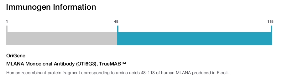 MLANA Monoclonal Antibody (OTI6G3), TrueMAB&trade;
